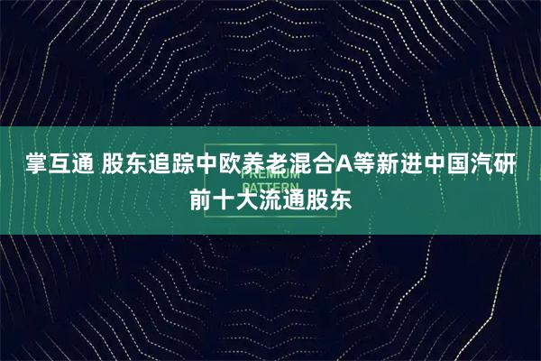 掌互通 股东追踪中欧养老混合A等新进中国汽研前十大流通股东