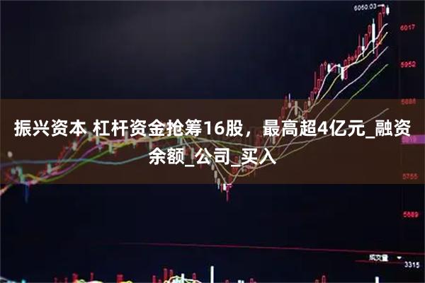 振兴资本 杠杆资金抢筹16股，最高超4亿元_融资余额_公司_买入
