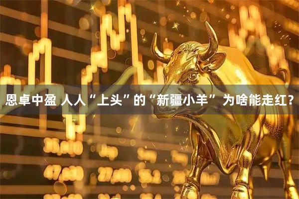 恩卓中盈 人人“上头”的“新疆小羊” 为啥能走红？
