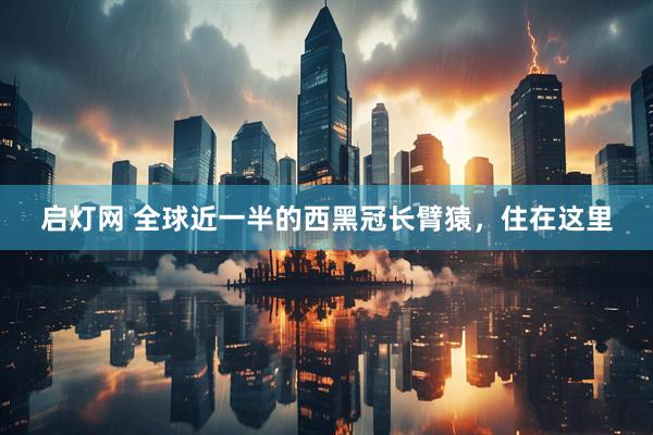 启灯网 全球近一半的西黑冠长臂猿，住在这里