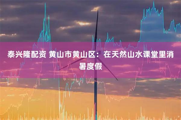 泰兴隆配资 黄山市黄山区：在天然山水课堂里消暑度假