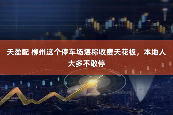 天盈配 柳州这个停车场堪称收费天花板，本地人大多不敢停