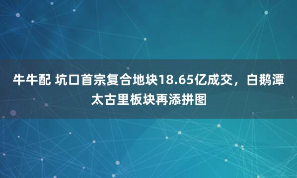 牛牛配 坑口首宗复合地块18.65亿成交，白鹅潭太古里板块再添拼图